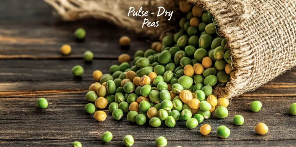 Close-up of green and yellow dry peas spilling from a burlap sack onto a wooden table.